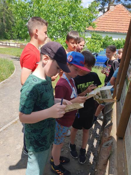 Stobrawska Wstęga – ostoja bioróżnorodności – edukacja i ochrona. Piknik bioróżnorodności. 